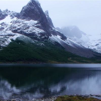 正规的大小单双平台网址